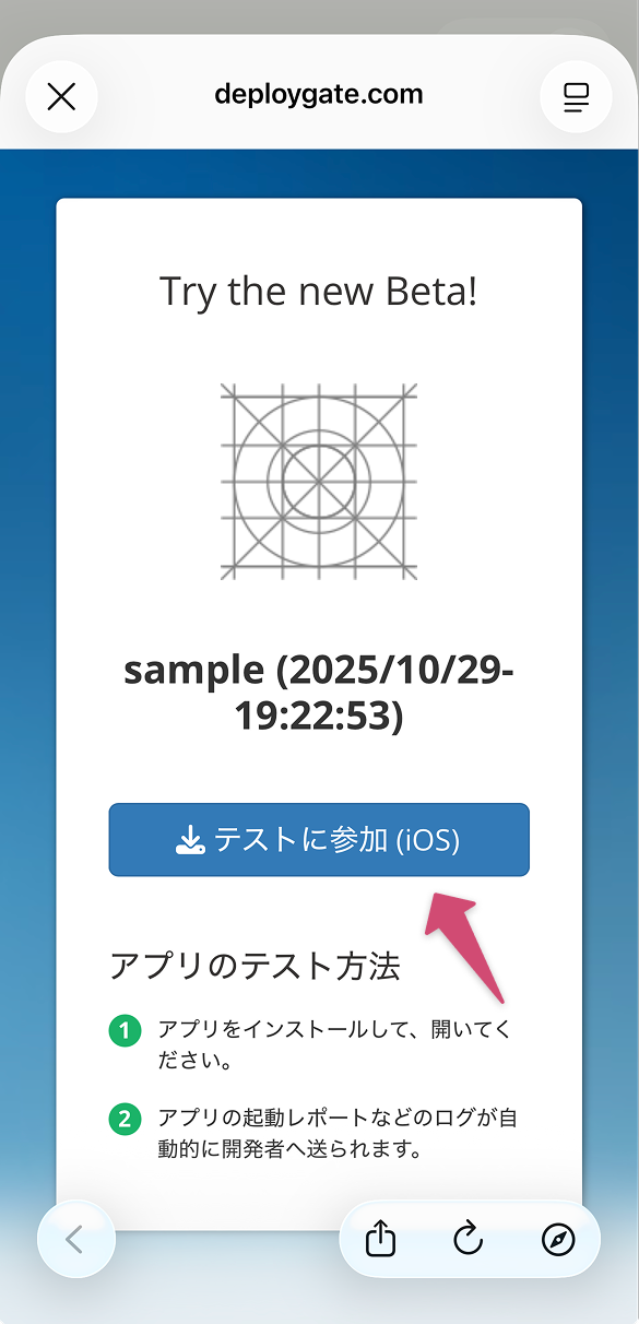 Screenshot of iOS access to distribution page