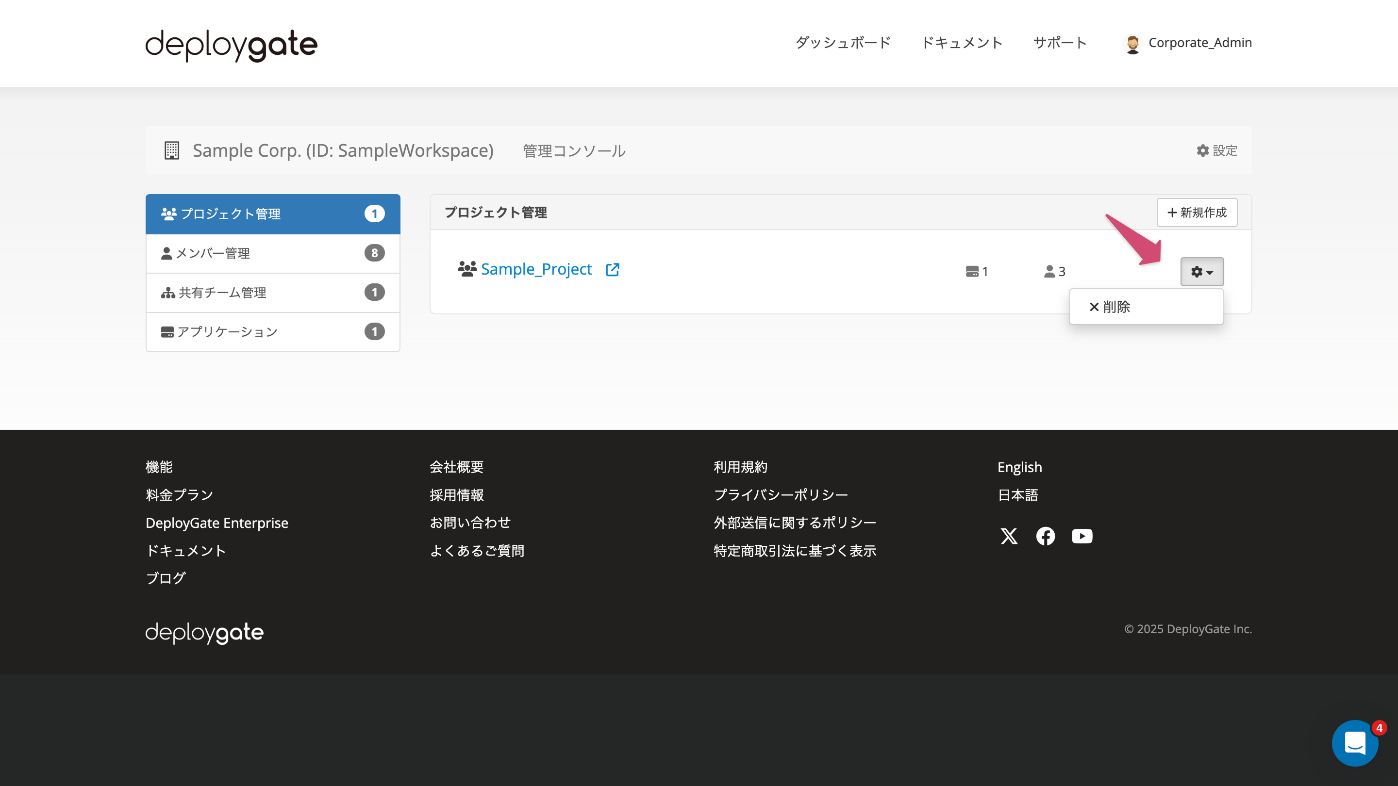 Screenshot of delete menu of the project